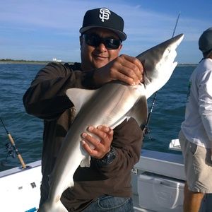 Meet your Posher, Phillip